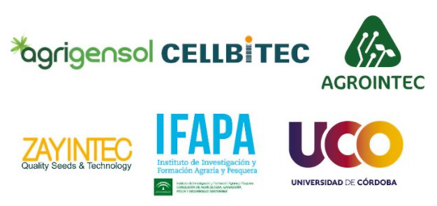 Entidades participantes
